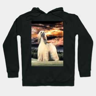 The Majestic Afghan Hound. Masked Gold. Hoodie